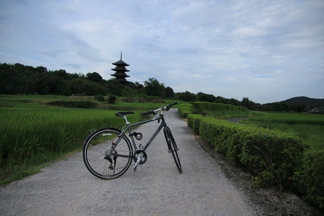 吉備には自転車道というのがあってだな