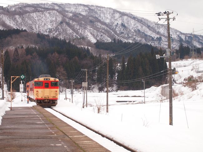 2015年の初旅行は、新潟です♪　今回の旅行計画は、2014年夏から既に始まっていました。<br /><br />年末恒例の、福山雅治の冬の大感謝祭ライブ…、毎年横浜限定で数日間に渡って行われるのですが、今回は全国各地の会場で、ツアーという形式で行われるという事が発表され、まだチケットが取れたわけでもないのに、既に私は浮足立っていました(笑)。　横浜よりも多分地方の公演の方がチケットも取りやすいかな?と思い、埼玉の地元の友達を、比較的行きやすい新潟のライブに誘い、チケットを無事にget出来た後から、いつものマニアック旅行計画のスタート♪<br /><br />計画当初は、もちろんライブがメインで観光は二の次だったのですが、計画が面白すぎて、最終的には観光メインで、ライブはおまけになってたかも(笑)。<br /><br />ウィンタースポーツをせずとも、2泊3日の新潟旅行、楽しんできました～!　1日目をまとめた旅行記です。