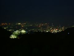 1000万ドルの夜景も一人では・・