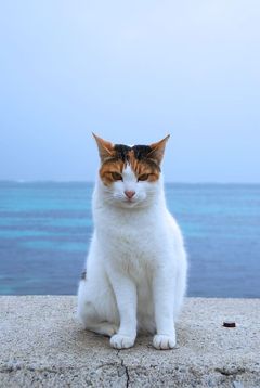 ★街十色～ 石垣島 のいろ メロウいろ★