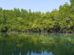 広大なマングローブ林のチャーン島=トラート県