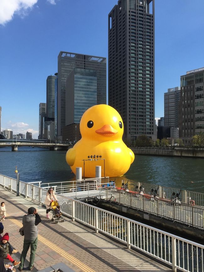 今回、JALマイル修行 ＆ オトクに泊れる三越宿泊券の条件が一致し、大阪・京都2泊3日の旅へ。<br /><br />２日目は、京都へ移動。<br /><br />(2日目の旅程)<br />三井ガーデンホテル大阪プレミア　→　大阪市立科学館　→　昼食：Dallmayr(ダイビル内)　→　渡辺橋駅(大阪)　→　京阪電車　→　七条駅(京都)　→　チェックイン：ハイアット リージェンシー 京都　→　夕食：蛸長<br /><br /><br />【冬の関西旅行 | JALでいく大阪・京都 | 2014年12月　関連旅行記】<br />(１日目)<br />http://4travel.jp/travelogue/10972468<br /><br />(２日目)<br />http://4travel.jp/travelogue/10974047<br /><br />(３日目)<br />http://4travel.jp/travelogue/10974410<br />