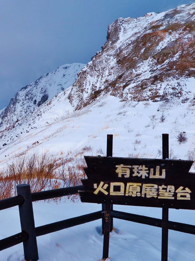 有珠山（うすざん）は、北海道・洞爺湖の南に位置する標高737mの活火山。山頂は有珠郡壮瞥町にあり、山体は虻田郡洞爺湖町、伊達市にまたがっている。支笏洞爺国立公園内にあり、昭和新山とともに「日本の地質百選」に選定され、周辺地域が洞爺湖有珠山ジオパークとして「日本ジオパーク」・「世界ジオパーク」に認定されている。<br /><br />洞爺湖をかたちづくる「洞爺カルデラ」の南部に有珠山が形成されたのは、約2万年前と考えられている。噴火を繰り返し、年月をかけて成層火山をなしたが、約7千年前に山頂部が爆発。その際に山体崩壊が発生し、南側に口を開けた陥没地形が形成された。この時発生した岩なだれは内浦湾（噴火湾）にまで達し、有珠湾周辺の複雑な海岸線をつくった。<br /><br />二重式火山で、直径約1.8 km の外輪山の中に大有珠（海抜737 m）、小有珠などの溶岩円頂丘や、オガリ山、有珠新山（669 m）などの潜在円頂丘が形成されている。また山麓にも溶岩円頂丘の昭和新山や、潜在円頂丘の金比羅山、四十三山（明治新山）などを有している。<br />20世紀の100年間で4度も噴火活動が観測された、世界的に見ても活発な活火山である。<br />現時点で最新の噴火は2000年（平成12年）の噴火である。<br />（フリー百科事典『ウィキペディア（Wikipedia）』より引用）<br /><br />有珠山ロープウェイ　については・・<br />http://wakasaresort.com/usuzan/<br /><br />3日目 <br />洞爺湖温泉（9：30頃発）＝＝＝＝○昭和新山（ガラス館約90分）＝＝＝＝☆千歳道産市場（海産物のショッピング／約30分）＝＝＜バス走行距離：約120ｋｍ＞＝＝新千歳空港（15：00発）＝＝JAL514=＝＝羽田空港（16：40着）<br />（　http://www.hankyu-travel.com/tour/detail_d.php?p_course_id=12141&amp;p_hei=10より引用)<br /><br />2011年12月22日<br />道南-5　有珠山ロープウェイで山上の展望台へ　☆昭和新山が眼前に 71枚 http://4travel.jp/travelogue/10637202<br /><br />道南-6　ジオパーク見学、洞爺湖畔で休憩　☆観光バスの最前列から 58枚 <br />http://4travel.jp/travelogue/10637243<br />