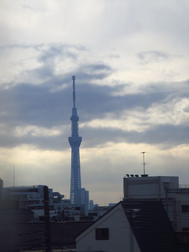 年明けの1月に会いに行くと約束したので<br />祖母に会いに行ってきました。<br /><br />成田到着後、スカイライナーと電車を乗り継ぎ<br />祖母の家に向かいました。<br /><br />MU523　上海浦東09:10　→　成田12:50<br /><br /><br /><br />★★　一時帰国記　1/15〜1/20　★★<br />01★香港空港出発前に翠華餐庁で昼食そしてお土産購入<br />http://4travel.jp/travelogue/10974200<br />02★2日連続上海…国際線乗り継ぎで上海へ！空港近くのホテルに1泊<br />http://4travel.jp/travelogue/10974207<br />03★国際線乗り継ぎで上海へ！早起きして空港へ…<br />http://4travel.jp/travelogue/10974212<br />04★祖母に会いに行く<br />http://4travel.jp/travelogue/10974218<br />05★新宿で学生時代の同級生とフレンチ＠クレッソニエール<br />http://4travel.jp/travelogue/10974248<br />06★新荒川大橋を渡って川口（埼玉県）から赤羽（東京都）へ<br />http://4travel.jp/travelogue/10974354<br />07★何ともレトロな赤羽スズラン商店街で食事とお買い物<br />http://4travel.jp/travelogue/10974459<br />08★滞在を終え成田空港へ！<br />http://4travel.jp/travelogue/10974500<br />09★成田からの便が遅れて大変だった上海での乗り継ぎ（東方航空で成田→上海→香港）<br />http://4travel.jp/travelogue/10974672<br />10★最後に香港空港でエビワンタン麺！！<br />http://4travel.jp/travelogue/10974688