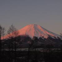 富士五湖周辺を堪能する１泊旅行