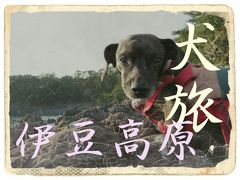 犬旅　～伊豆高原～