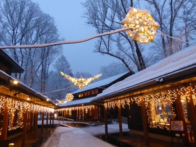 美しい雪景色の軽井沢　冬のバカンス♪　Vol４（第３日目）☆中軽井沢：ヨーロッパのような美しい雪の「ハルニレテラス」で優雅なディナー♪
