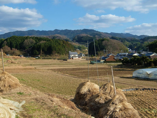 明日香村と言うより　飛鳥の里と言いたい想いです。<br /><br />始めて行ったのが昭和３０年代の初期<br /><br />何も知らず　当時は　飛鳥の里の観光案内は有りませんでした<br /><br />奈良の観光の一部、、おまけ状態の感じのでした。<br /><br />橿原神宮駅から路線バスに乗り　飛鳥寺から随分歩きました<br /><br />生涯で初めての穏やかな田園風景に魅せられて、<br /><br />以後　何回行ったでしょう。<br /><br />そして結婚　子どもを授かり<br /><br />三人の子供たち　それぞれ　一人づつ　連れて計三度<br /><br />妻と二人で二度　一人で何度も<br /><br />東京での明日香好きが集まって　東京飛鳥会など<br /><br />明日香大好きの人も集まって　飛鳥資料館の講堂でオフ会もありました。<br /><br />樫原市の亡き友人と車でまわり　<br /><br />万葉集の事で語り合いながら回った事も、<br /><br />想いで一杯の愛しい飛鳥の里でした。<br /><br /><br />愛しの明日香村−１　亀石まで<br />http://4travel.jp/travelogue/10149427<br />愛しの明日香村ー２　橘寺まで<br />http://4travel.jp/travelogue/10149673<br />愛しの明日香村ー３　石舞台まで<br />http://4travel.jp/travelogue/10149969<br />愛しの明日香村ー４　最終編<br />http://4travel.jp/travelogue/10150158<br /><br />小山田遺跡現地説明会へ<br />http://4travel.jp/travelogue/10973912<br />小山田遺跡現地説明会　上<br />http://4travel.jp/travelogue/10974189<br />小山田遺跡現地説明会　下<br />http://4travel.jp/travelogue/10974190<br />岩屋山古墳　牽牛子古墳　真弓鑵子塚古墳古墳<br />http://4travel.jp/travelogue/10974486<br />愛しの飛鳥<br />http://4travel.jp/travelogue/10974536