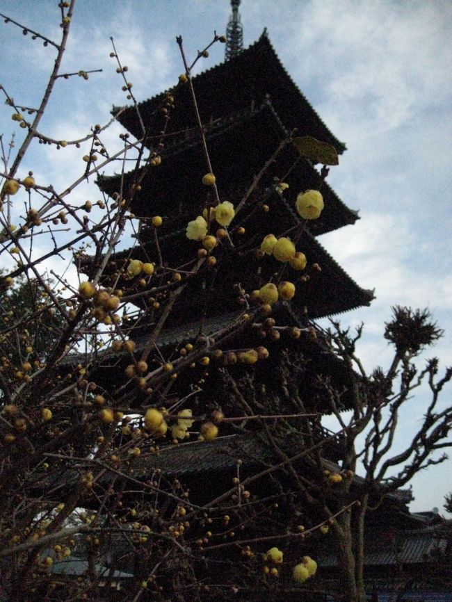 天気は回復、暑い位、汗ダクになって善通寺まで