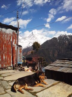 2015年1月　ネパール旅行⑧　アンナプルナトレッキング2日目