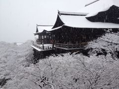 年末年始の関西旅行⑤４日目　元日、吹雪の中さまよった京都はさすがの美しさ