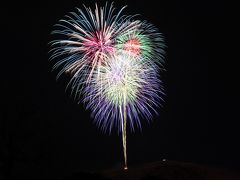 奈良 若草山の山焼き