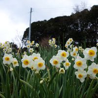 早春、房総ドライブ一日目