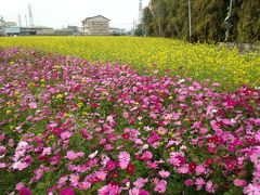 后里鐵馬路から東勢へサイクリング(その1)