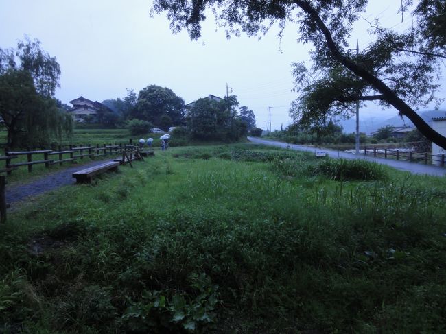 伊香保温泉に宿泊し、夜は箱島でホタル観賞