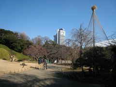 駅からハイキング　御茶ノ水界隈　新春の神社めぐり