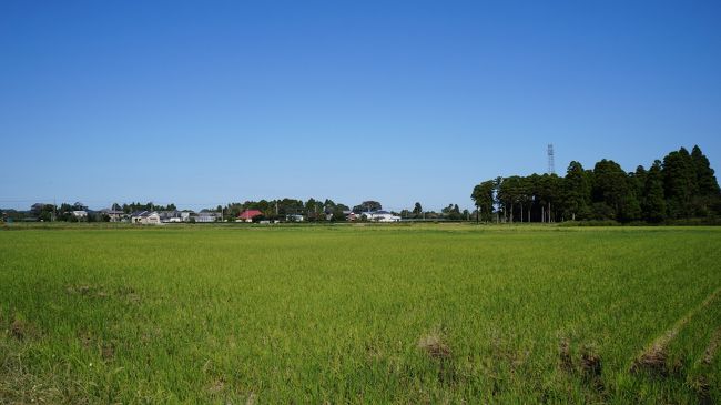 ●大網白里町を歩く