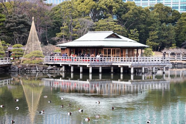 本日は暖かな日で天気もなんとか良さそうとの事でしたので汐留にある浜離宮恩賜庭園へ出掛けました。<br />東京湾から海水を取り入れて潮の干満で池の景色の変化を楽しむ、潮入りの回遊式築山泉水庭だそうです。<br /><br />都内には庭園が多数あってそれを紹介するHPもあり、その情報や他の人の旅行記を見て行ってみることにしました。<br />（http://teien.tokyo-park.or.jp/contents/index028.html）