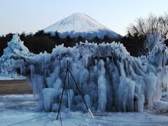 冬季は樹氷の森公園に変身する西湖野鳥の森公園