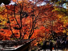 高尾山と片倉周辺