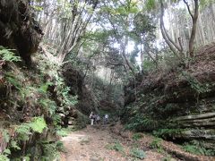 秋の鎌倉（天園ハイキング、建長寺→獅子舞→瑞泉寺）