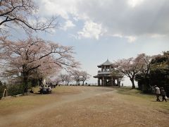 桜のスポット、弘法山ハイキング