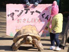 恋の季節のレッサーパンダに会いに市川市動植物園へ（３）パクパクタイムのコツメカワウソとミーアキャット＆お散歩リクガメ・アンディーくん＆可愛いおじいちゃんのクロキツネザルほか動物園いろいろ