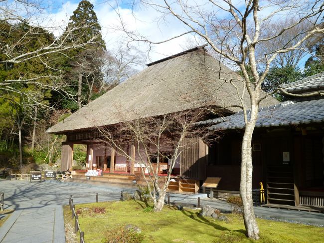 国宝の瑞巌寺は有名ですが、そのすぐ近くに臨済宗妙心寺派の円通院があります。何気なく寄ったのですが、大変落ち着いたたたずまいで気に入りました。円通院は、伊達政宗の嫡孫である光宗の霊廟として、正保4年(1647)瑞巌寺第100世洞水和尚により三慧殿が建立されて開山されたものなのです。寄り道してよかったと思える風景に、たくさん出会えました。