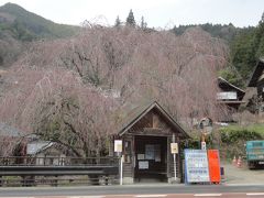 まだまだ寒い檜原村