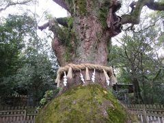 家族で行く熱田神宮☆味噌煮込みうどんも、ういろうも♪愛知には美味しいものがいっぱいヽ(^o^)丿