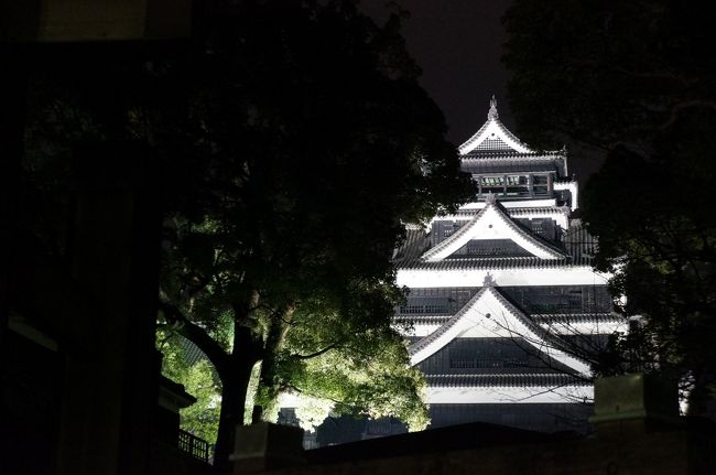 ある日オットが<br />「おふくろがじいちゃん（オットの）の十三回忌にオレに連れて行ってもらいたいと言っているけど一緒に行く？」<br />法要は熊本でとり行われる<br />私「ううん、親子水入らずで行っておいでよ」<br />オット「え〜〜〜〜っ！一緒に行こうよぉ」<br />私「行かない」<br />オット「オレだけじゃ熊本まで行く自信がないし」<br />私「大丈夫だよ、ちゃんと段取りしてあげるから」<br />オット「行こうよぉ」<br />私「ヤダ！」<br />オットは考えた<br />オット「ねぇちゃんを誘ったら行くって言うから4人で行こうよ」<br />私「しょうがないなぁ、お義姉さんが行くなら・・」