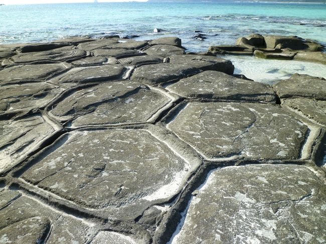 畳石は、久米島の東にある奥武島の海岸に、五角形や六角形に区切られた安山岩が整然と並ぶ柱状節理です。<br />岩の直径は1mにもなり、柱状節理の直径としては大きく、亀の甲羅のようになっています。<br />いろいろな所で柱状節理を見ましたが、このタイプは初めてで驚きました。<br />
