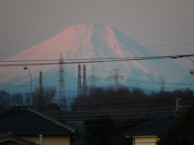 １月２９日、午前６時３２分頃より朝焼け富士を見ることにした。　というのは前の日の夕暮れがとても美しかったので美しい朝焼けが見られると思ったからである。　大体予想通りの朝焼けが見られた。<br /><br /><br /><br />＊写真は午前６時４３分頃の朝焼け富士
