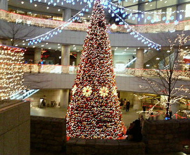 東京オペラシティのクリスマスツリーです。