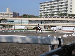 世田谷用賀・馬事公苑