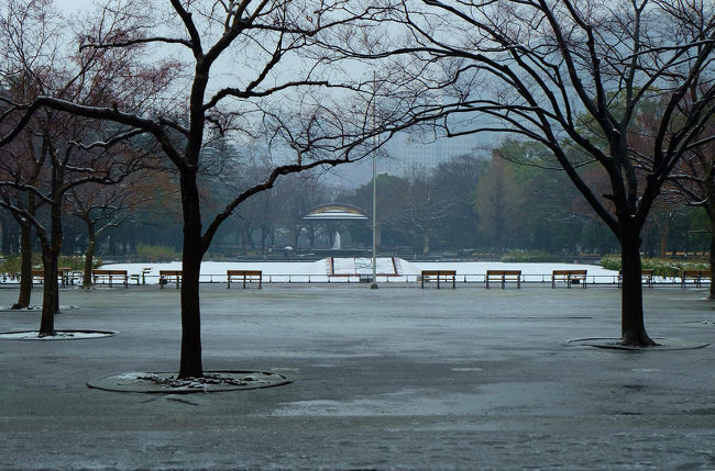 東京に　雪が降る　天気予報　待っていました　雪景色が写せる<br /><br />　支度して出掛けるが　東京駅では雪の姿なし<br /><br />　　有楽町で降りてみれば　小雨。。。<br /><br />日比谷公園<br />http://www.tokyo-park.or.jp/park/format/index037.html