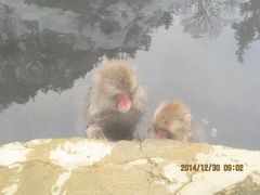 長野県白骨温泉で雪見風呂(*^ー^)ノ♪