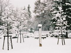 初雪　　ＩＮ　わかくさ公園