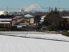 1月31日の富士山