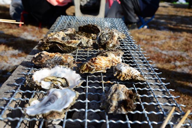 そういえばそろそろ松島の牡蠣祭りかも?と思い出したのは1月後半。<br />5年前くらいに1度行ったことあるけど美味しかったなぁ…。<br /><br />ということで急きょ宿を予約して行ってきました松島へ。<br /><br />美味しいものをたくさん食べるぞ〜。