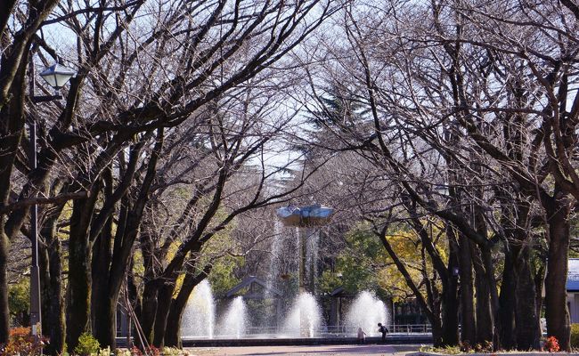 今月3度目の府中訪問を行った。<br /><br />前回、府中の散策を行い、廻り切れなかった為、残りの気になる所を見てきた。<br /><br />天気は良かったが、風が強く寒さは格別であった。<br /><br />前日の雪もまばらに残っていた。
