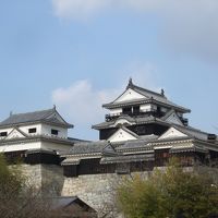 2014年末は香川～愛媛城巡りへ　⑤現存天守　松山城＆湯築城って、どこ？