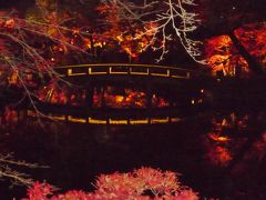 11月下旬　京都へ紅葉を観に行きました（永観堂）　後編