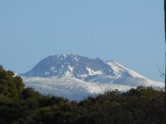済州島 チェジュの旅行記