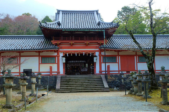 東大寺の影に　ひっそりとたたずむ　紅葉の名所手向山八幡宮<br /><br />東大寺境内の旅記はほぼ終了<br /><br />次は春日大社に向かいます。