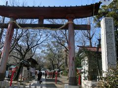 奥方と行く関東御朱印巡りの旅。～鷲宮神社編～