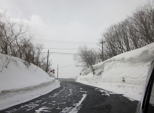 １月下旬なのに春のように暖かい日が続きました。<br />冬なのに我が家の庭に雪が無い～無性に雪が見たくなりました。<br />週末は雪になると天気予報では言っていますが、雪を見るのは「今でしょう」出かけてみました。<br /><br />でも本当の目的は温泉神社入り口に有る「こんば色の湯」で足湯をするのが目的です。<br />前の週に娘と「那須山」で日帰り温泉を楽しんだばかりですが、私は足が冷えるので「足湯」がしたかったのね(#^.^#)<br /><br />冬なのでぬるいのかな？と思いましたが、実は足を入れるのもびっくりの熱いお湯でした。<br />お陰さまで足は湯気が出るくらいに、ほかほかしましたね。