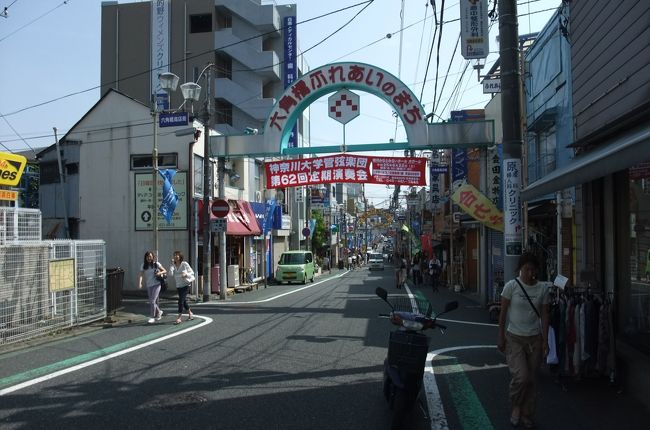 東急東横線白楽駅で下車し、進行方向横浜の右て改札を出て、短い路地歯直ぐ東神奈川からの環状道路から、妙蓮寺・菊名方面へ向かう一方通行路にぶつかる。<br />その通りは一応ふれあい商店街とされて居るが、商店らしい商店は数えるほどで、医院や不動産やの事務所などが並ぶ。<br />緩やかな坂路を環状道路方面へ少し下ると直ぐの十字路があり、祖の十字路を右へ入ると、表の通りと平行して、やっと人二人がすれ違えるほどの細い路地と言った方が良い、アーケードの商店街がちまちまと連なって居る。表通りと背中合わせと言った漢字で、中には、表通りと繋がってアーケード側も店舗の間口が空いている店もある。<br />まるでうなぎの寝床のように、一列の表通りに面した家並み、そうしてアーケードの細い通路を挟んで、一列の長屋が繋がって居ると言える。<br /><br />一軒一軒、レトロな感じの店が並び、古ぐい屋があれば」お茶屋もある。猫屋、猫のグッズを揃えた角の店、フィギュアーのプラモデルを揃えた店。リサイクルショップ、紅茶専門店、凝った内装の珈琲店、５〜６人も入ればカウンターの珈琲店は満員になる、そんな店もあり、鮮魚店八百屋もの気を並べる。<br />何とも、それぞれがちまちました映画のセットのような感じで、変に落ち着く商店街なのだ。<br />