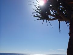 八重山ふたたび（与那国島～石垣島）2泊目