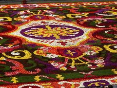Flower Carpet 2008